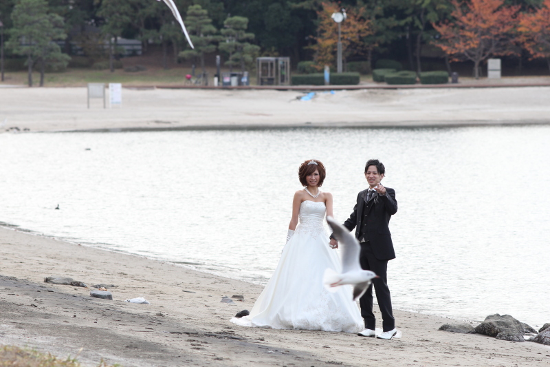 スタジオアークイメージ画像